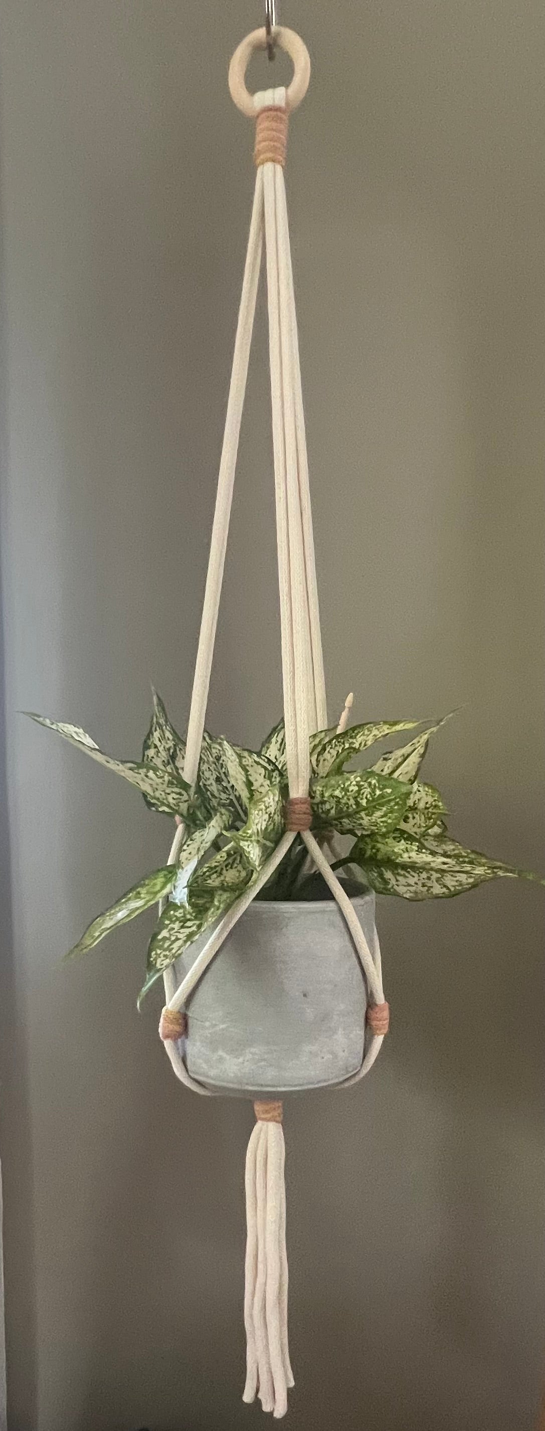 Macrame Multi Coloured Plant Hanger