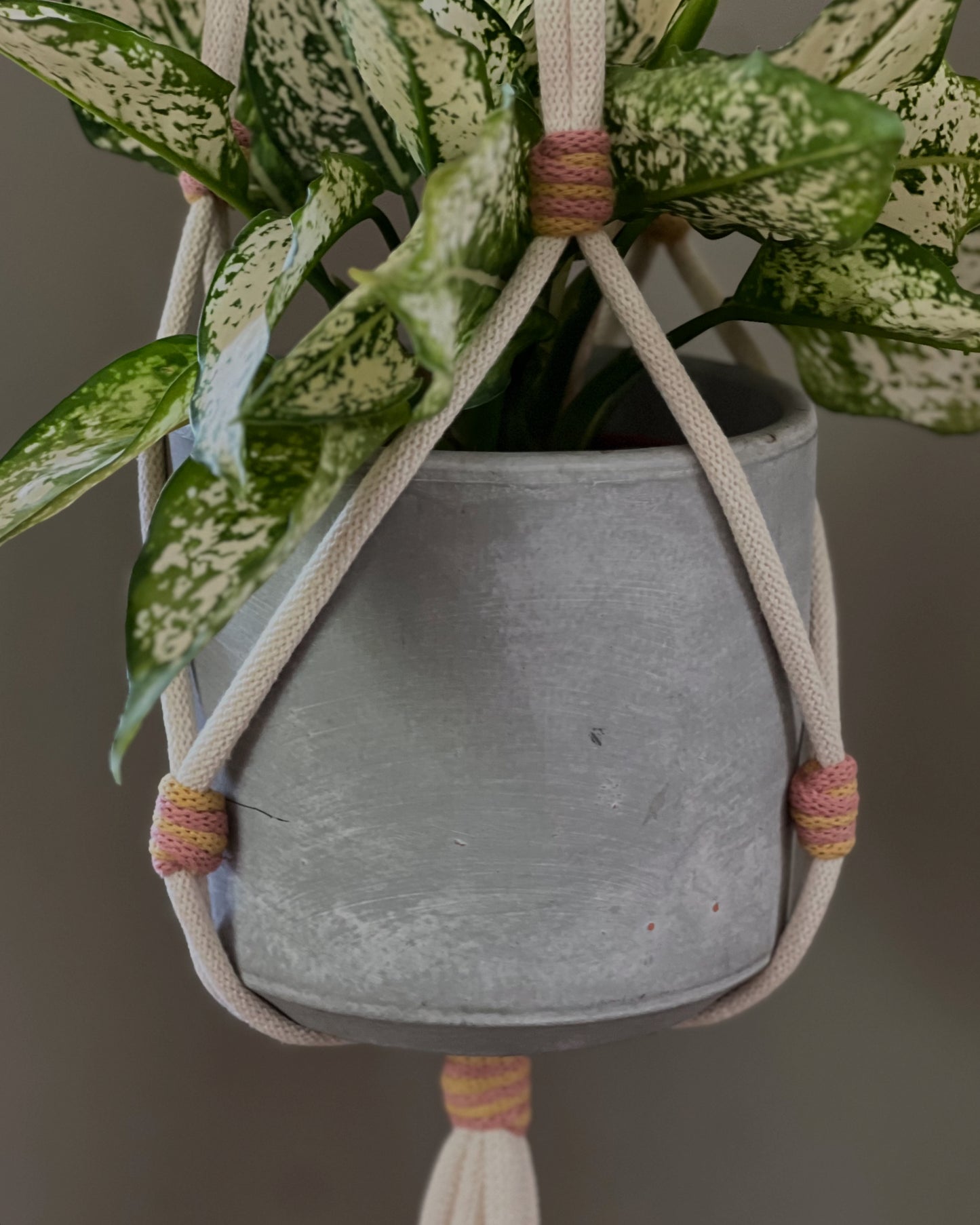 Macrame Multi Coloured Plant Hanger