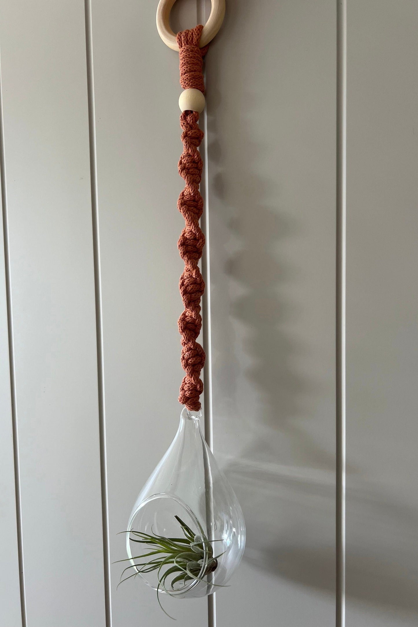 Macrame Glass Globe Plant Hanger | Air Plant Hanger | Macrame Terrarium | Boho Decor | Eco Friendly | Gift | Sustainable Living