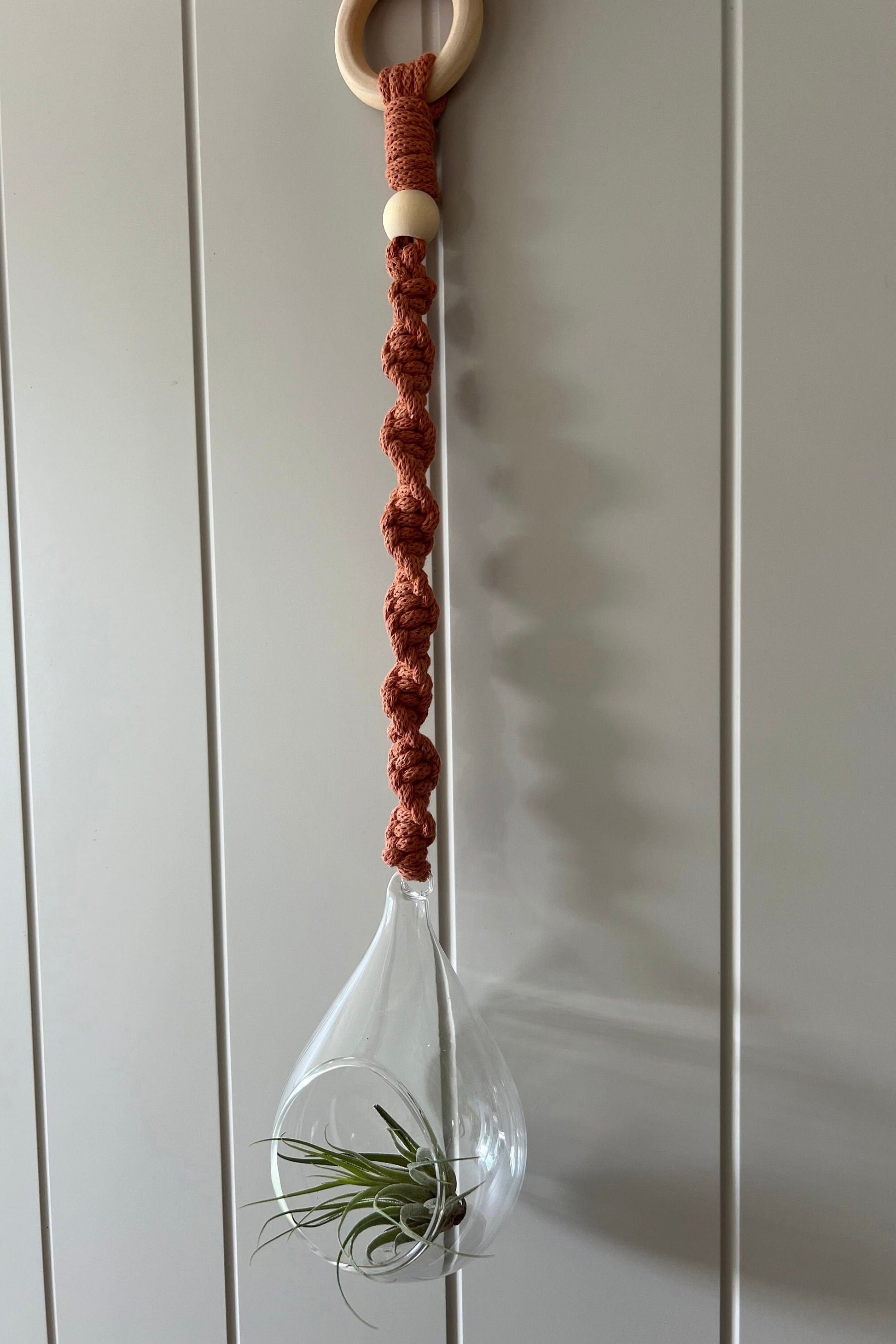 Macrame Glass Globe Plant Hanger | Air Plant Hanger | Macrame Terrarium | Boho Decor | Eco Friendly | Gift | Sustainable Living