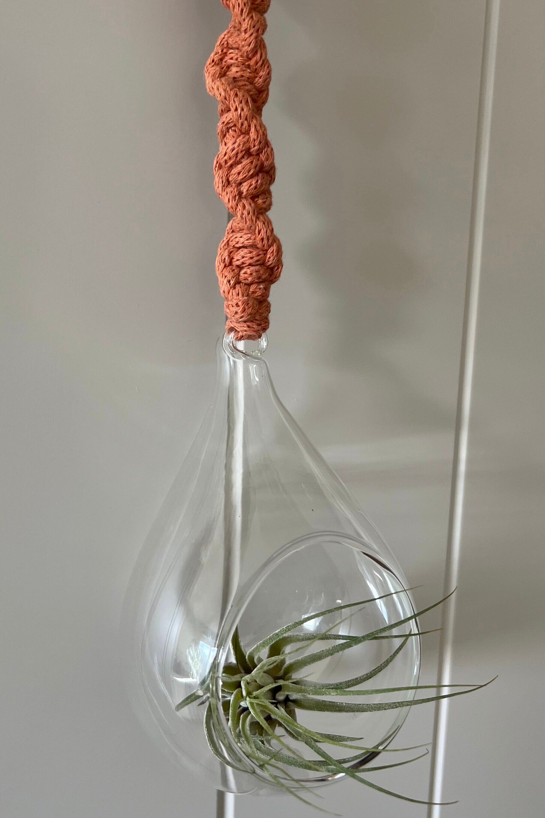 Macrame Glass Globe Plant Hanger | Air Plant Hanger | Macrame Terrarium | Boho Decor | Eco Friendly | Gift | Sustainable Living