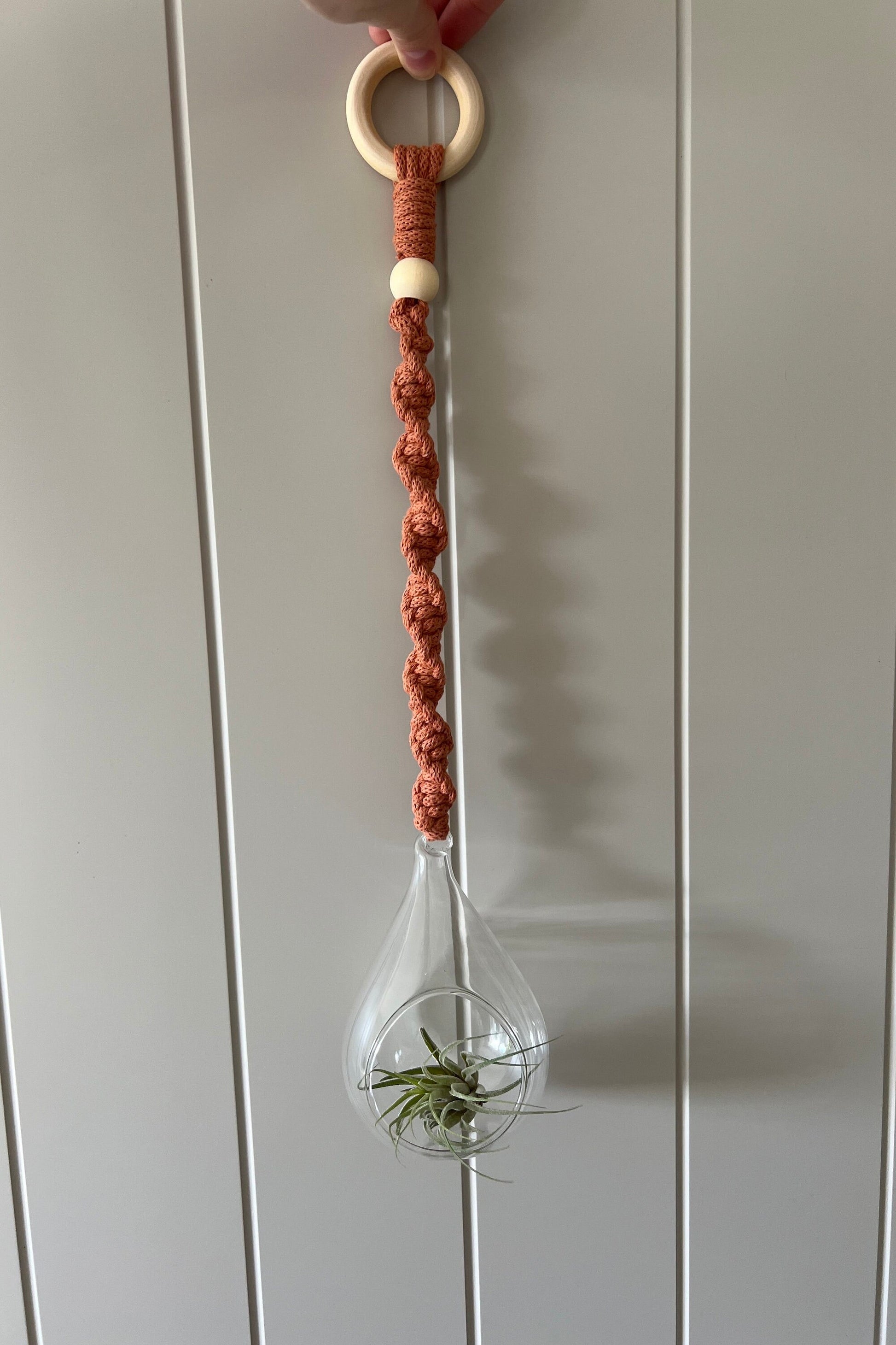 Macrame Glass Globe Plant Hanger | Air Plant Hanger | Macrame Terrarium | Boho Decor | Eco Friendly | Gift | Sustainable Living