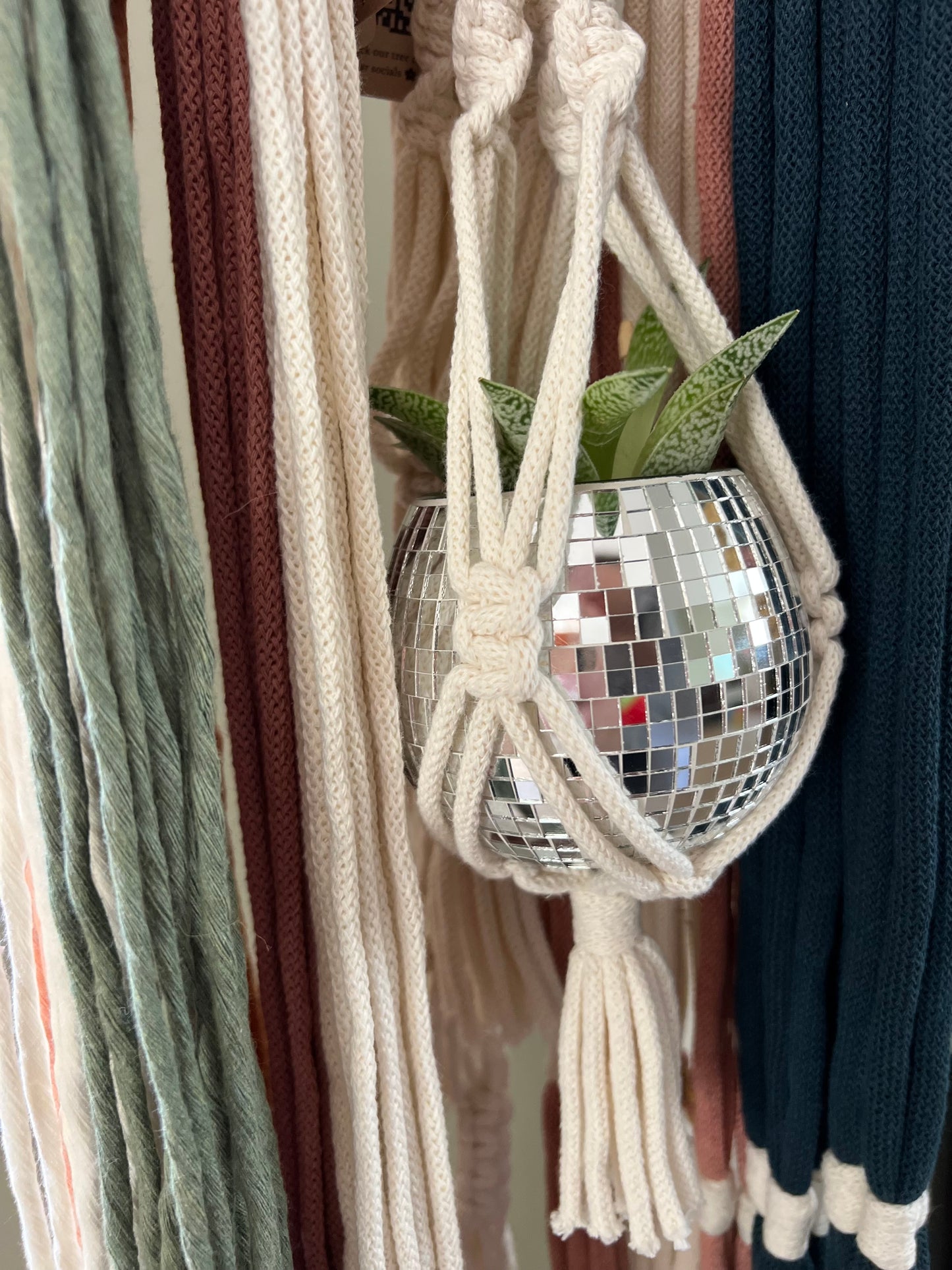 Macrame Mini Disco Plant Hanger Workshop, Coffee & Pastries - 15th August 2026 - Winchester - The Cart & Horses